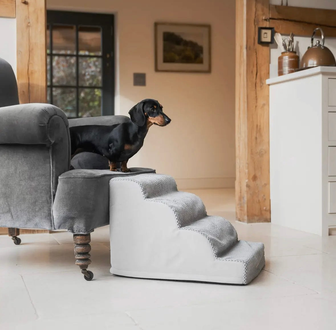 Escalier Pente Douce pour Animaux de Compagnie